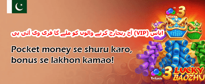 روزانہ VIP کیش بیک آفر promotion image